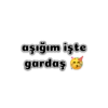 Sevgilim 12