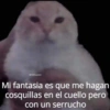 Kittens for u🐈💖✨ CLÁSICOS 26