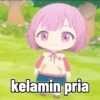 kelamin pria