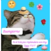 Catscatacats9 10