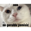 Biyu 10
