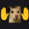 🤓 GATOOOZ !!¡¡😺🗯️ㅤㅤ 17