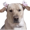 Memes 30 11