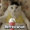 Refrescación