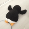 🐧•Pingu•🐧 5