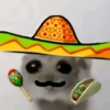 🐀 Sad Rat 🐀🐀 Meme 🐀 22