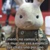 🐰•✨Ternurines✨•🐰 13