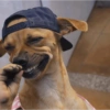 Tiktok Reaction 4 🤣 8