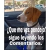 Memes variados para Whatsapp 12