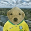 BRASIL