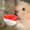 ANIMALITOS ♥️🦝 25