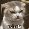 Eu não autorizei! 😡 7