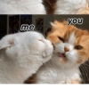 you me