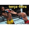 Minha semana 4