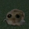 Cricetino Sad Hamster pt.3 13