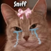 Sniff