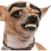 Memes 30 17