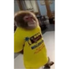 Monkeyyyy 6
