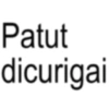 Text anomali 1.3 16