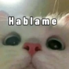 Kittens for u🐈💖✨ CLÁSICOS 28