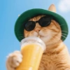 🧿Gatitos Gatos Miau🐱🐈 18