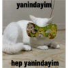 Biyu 6