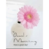 Good morning 6