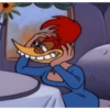 Picapau 14