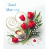 Good morning 11