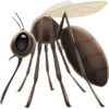 IPhone emoji animals 4 10
