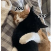 you me