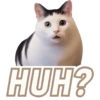 ✨️ Modo Gato 🐈🐱🐈‍⬛ 10