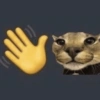 🤓 GATOOOZ !!¡¡😺🗯️ㅤㅤ 21