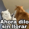 ✨ Memes mix 7 🔥 11