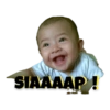 Salam 13
