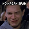 NO HAGAN SPAM