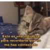 Gatos Raros😼🎩 11