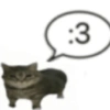 🤓 GATOOOZ !!¡¡😺🗯️ㅤㅤ 26