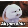 Tatlış Mood 11