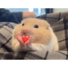 Hamster Reaction  15