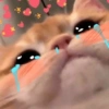 Gatitos amor 9