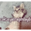 Haha 19