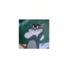 Memes variados para Whatsapp 8