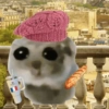 Cricetino Sad Hamster pt.3 11