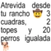 Atrevida desde tu rancho 3 cuadras, 322 topes y 20 perros igualada