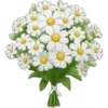 IPhone emoji Primavera2 🌸🩷🌸 12