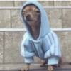 MÓ FRIO 🧣🧤🧦 15