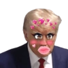 Trump  9