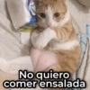 No quiero Comer ensalada