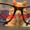🚨 MEMES 🚨 6